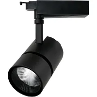 Трековый светильник Arte Lamp TRACK LIGHTS A2450PL-1BK