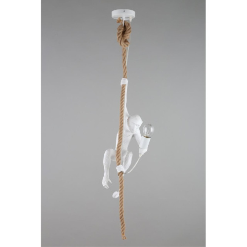 Светильник подвесной APL.309.06.01 фото 3 Светильник подвесной APL.309.06.01 фото 3