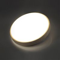 7607/CLN PALE SN 170 Светильник пластик/белый/бежеый под дерево LED 36Вт 4000К D340 IP43 LOSTA