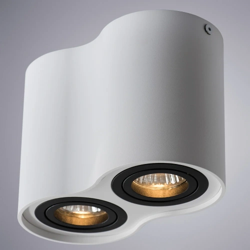 Точечный накладной светильник Arte Lamp FALCON A5644PL-2WH фото 2 Точечный накладной светильник Arte Lamp FALCON A5644PL-2WH фото 2