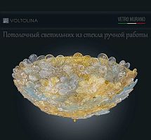 Voltolina Flora D50 Золото/голубой