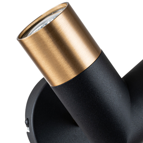 Настенный светильник 11036/2W Black фото 2 Настенный светильник 11036/2W Black фото 2