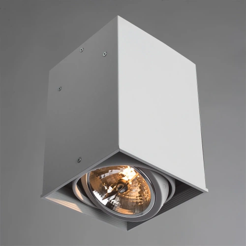 Точечный накладной светильник Arte Lamp CARDANI GRANDE A5936PL-1WH фото 2 Точечный накладной светильник Arte Lamp CARDANI GRANDE A5936PL-1WH фото 2