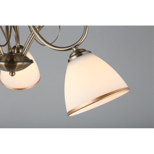 Люстра потолочная OML-25307-03 фото 6 Люстра потолочная OML-25307-03 фото 6