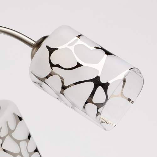 Люстра потолочная MW-Light Олимпия 261019505 фото 6