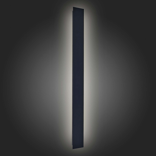 SL9511.411.01 Светильник уличный настенный ST-Luce Черный LED 1*24W 4000K NUVOLA фото 6