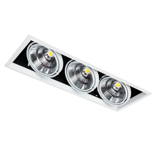 Карданный светильник Arte Lamp MERGA A8450PL-3WH фото 3