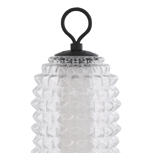 SL6144.404.01 Прикроватная лампа ST-Luce черный/прозрачный LED 1*12W 4000K SAGUARO фото 3