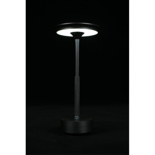 Настольная лампа APL.064.24.05 фото 9