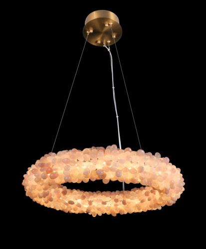 Подвесная люстра Eternity FL1155-5P
