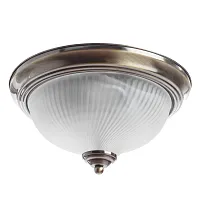 Потолочный светильник Arte Lamp AQUA A9370PL-2AB