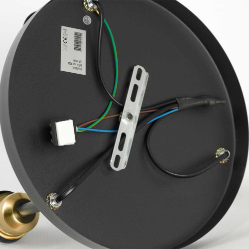 Люстра потолочная Lussole MITCHEL LSP-8996 фото 4