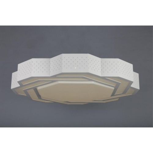 Люстра потолочная OML-43607-59 фото 3 Люстра потолочная OML-43607-59 фото 3