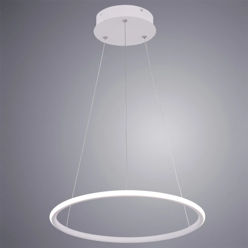 Подвесная люстра Arte Lamp RAPID A2500SP-1WH фото 2 Подвесная люстра Arte Lamp RAPID A2500SP-1WH фото 2