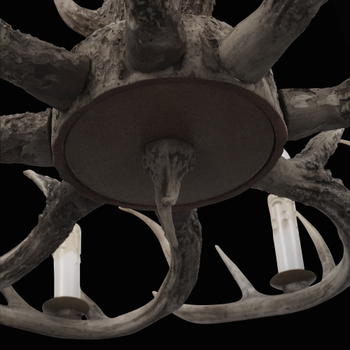 SL154.703.08 Люстра подвесная ST-Luce Серый E14 8*40W CORNA фото 18 SL154.703.08 Люстра подвесная ST-Luce Серый E14 8*40W CORNA фото 18