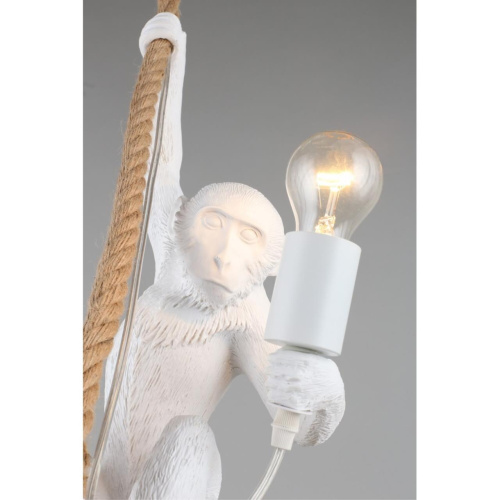 Светильник подвесной APL.309.06.01 фото 7 Светильник подвесной APL.309.06.01 фото 7