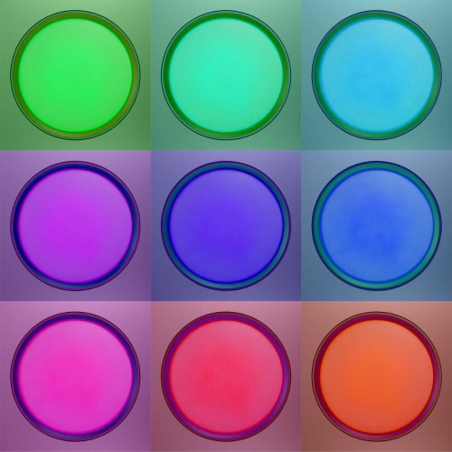 Потолочный светодиодный светильник Citilux Boss CL751351G фото 4