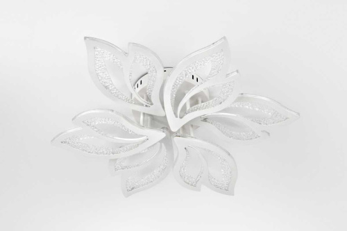 Потолочная светодиодная люстра Rivoli Teodora 6149-106 Б0066418 фото 4 Потолочная светодиодная люстра Rivoli Teodora 6149-106 Б0066418 фото 4