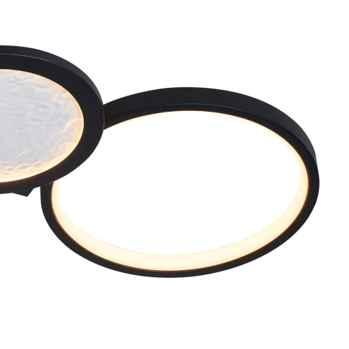 Потолочный светодиодный светильник F-Promo Neumel 4700-4C фото 3