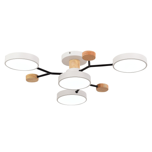 SLE6006-502-04 Светильник потолочный Белый/Белый LED 4*12W 3000K/4500K/6000K FAEMA фото 4