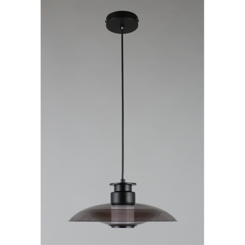 Светильник подвесной APL.648.06.10 фото 5