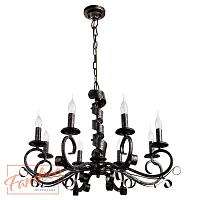 Подвесная люстра Arte Lamp ARENA A8952LM-8BG