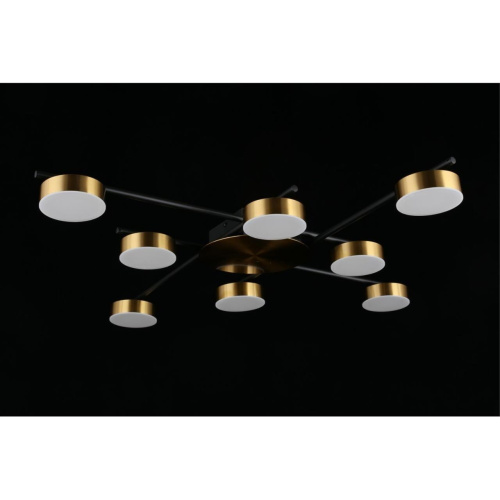 Люстра потолочная APL.042.07.56 фото 9 Люстра потолочная APL.042.07.56 фото 9