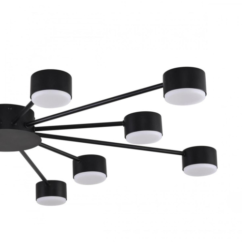 Люстра Lumion COMFI 8344/12C фото 4