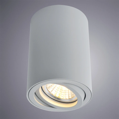 Точечный накладной светильник Arte Lamp SENTRY A1560PL-1GY фото 2