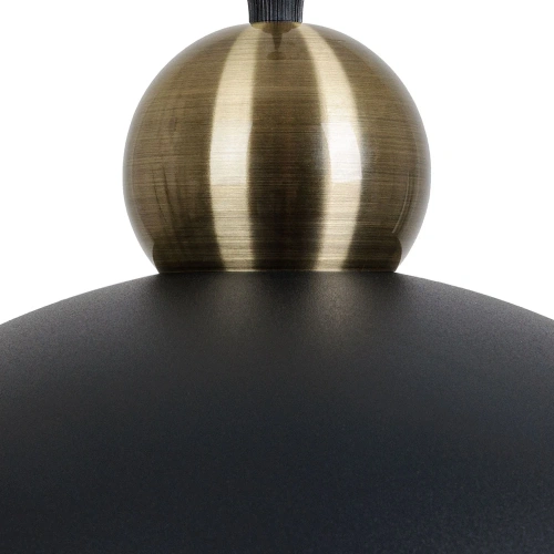 Подвесной светильник Arte Lamp RECINTO A7053SP-1BK фото 3