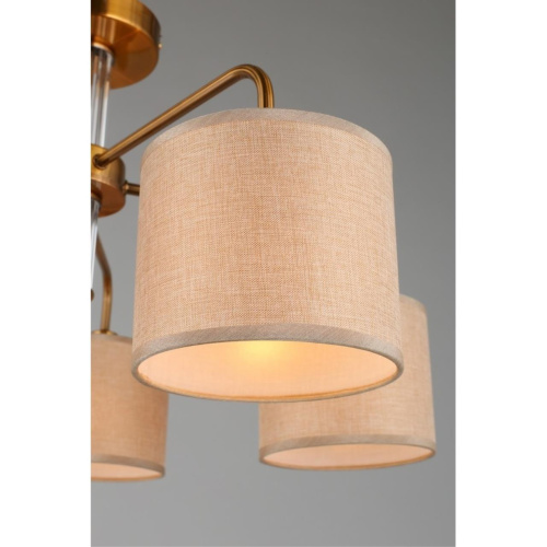 Люстра потолочная OML-56907-05 фото 2 Люстра потолочная OML-56907-05 фото 2