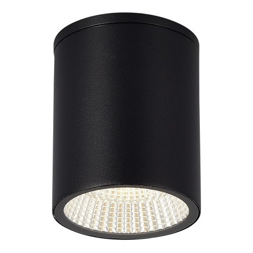 SL9514.412.01 Светильник уличный потолочный ST-Luce черный/белый LED 1*12W 3000K/4000K/6500K TUBO SL9514.412.01 Светильник уличный потолочный ST-Luce черный/белый LED 1*12W 3000K/4000K/6500K TUBO