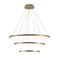 10015/3 Подвесной светильник LOFT IT Ring