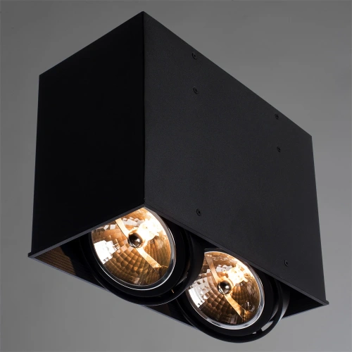 Точечный накладной светильник Arte Lamp CARDANI GRANDE A5936PL-2BK фото 2 Точечный накладной светильник Arte Lamp CARDANI GRANDE A5936PL-2BK фото 2