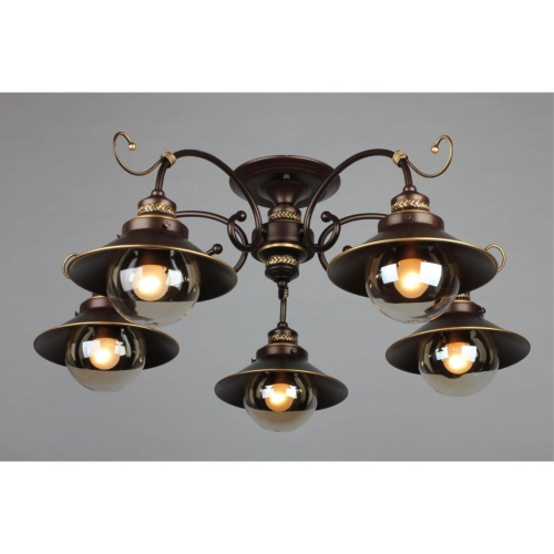 Люстра потолочная OML-50407-05 фото 4