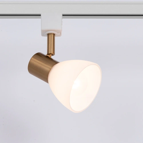 Трековый светильник Arte Lamp FALENA A3117PL-1WH фото 2
