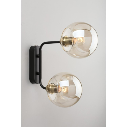 Светильник настенный (Бра) OML-94201-02 фото 6 Светильник настенный (Бра) OML-94201-02 фото 6