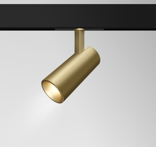 Трековый светильник Technical TR019-2-15W3K-MG фото 2