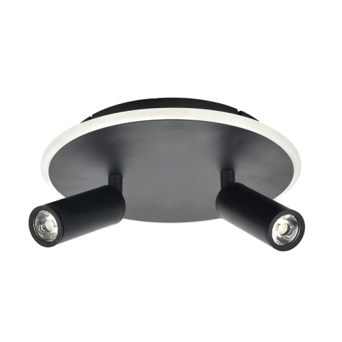 Настенно-потолочный свет Escada 20046SMA/02 LED 28W 4000K черный фото 2