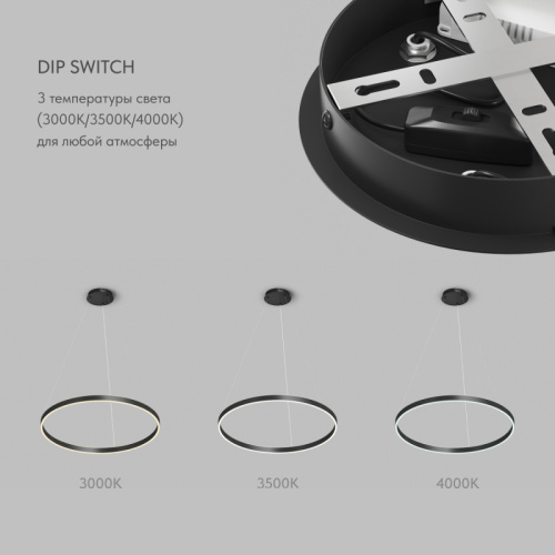 Потолочный подвесной светильник Denkirs RAYDIA | РЭЙДИА DK6273-BK фото 4