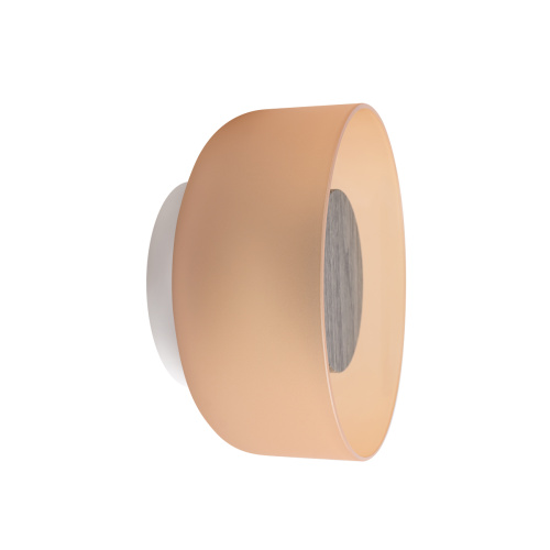 10466W Amber matte wood Настенный светильник LOFT IT Totem фото 5