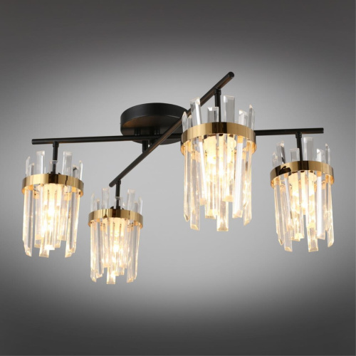 Люстра потолочная OML-67707-04 фото 8 Люстра потолочная OML-67707-04 фото 8