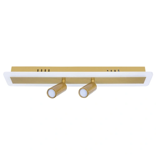 Спот Arte Lamp TOMMY A2607PL-22GO фото 2 Спот Arte Lamp TOMMY A2607PL-22GO фото 2