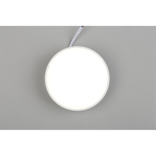 Светильник настенно-потолочный APL.0114.09.12 фото 6