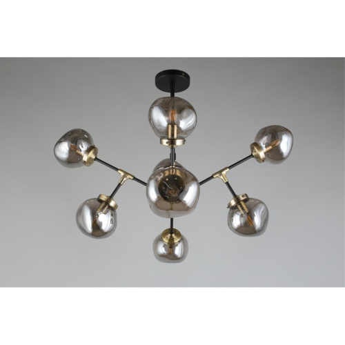 Люстра потолочная OML-95207-08 фото 7 Люстра потолочная OML-95207-08 фото 7