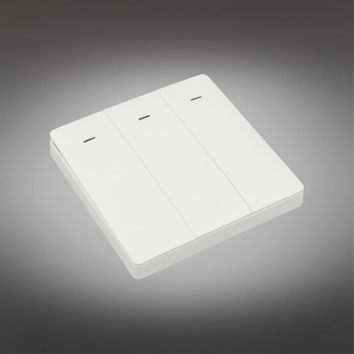 Трековое управление APL.0190.00.03 фото 3