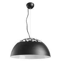 Подвесной светильник Arte Lamp PALEOLUS A3815SP-1BK