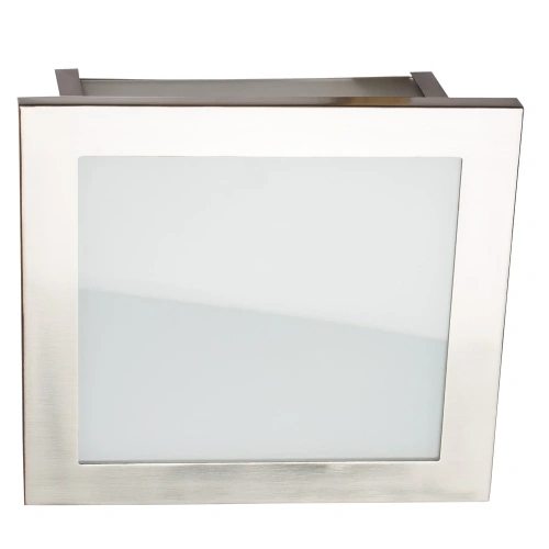 Потолочный светильник Arte Lamp FLUSHES A6064PL-2SS Потолочный светильник Arte Lamp FLUSHES A6064PL-2SS