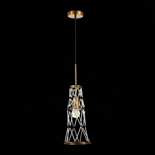 SL1016.203.01 Светильник подвесной ST-Luce Золотистый/Золотистый, Прозрачный E27 1*60W NARRIO фото 8