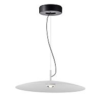 Подвесной светодиодный светильник Favourite Lars 4410-2P